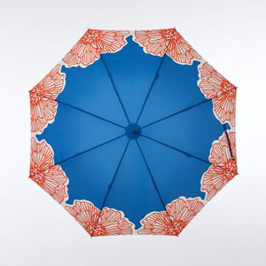 雨傘 ダイリン（DAIRIN）【レディース/おしゃれ】の上面画像