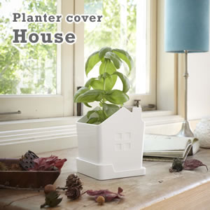 プランターカバー ハウス【観葉植物】ホワイトの使用画像